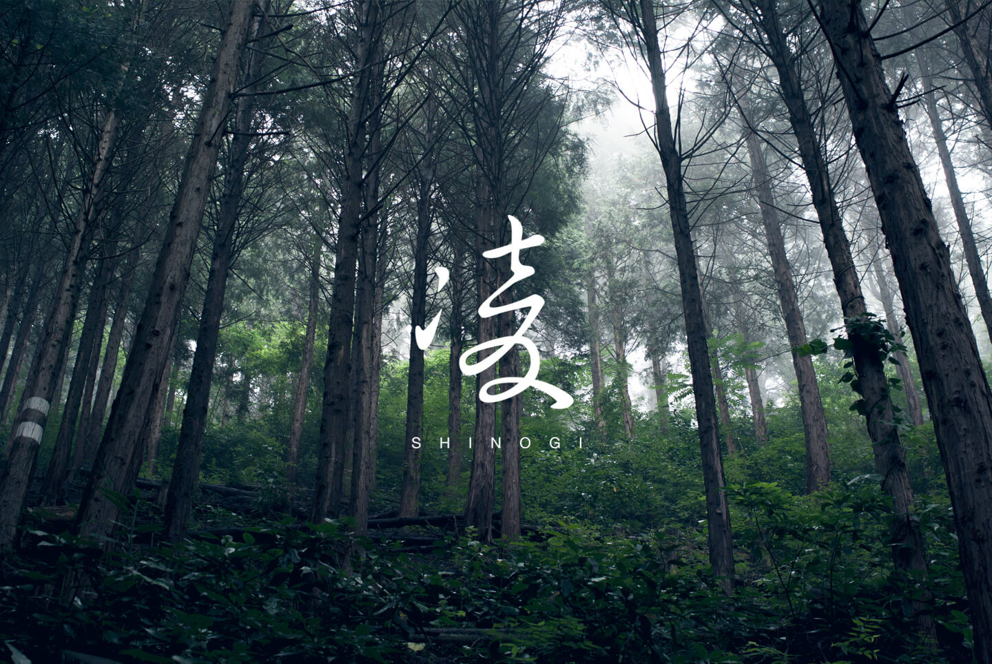 「凌」という山歩き