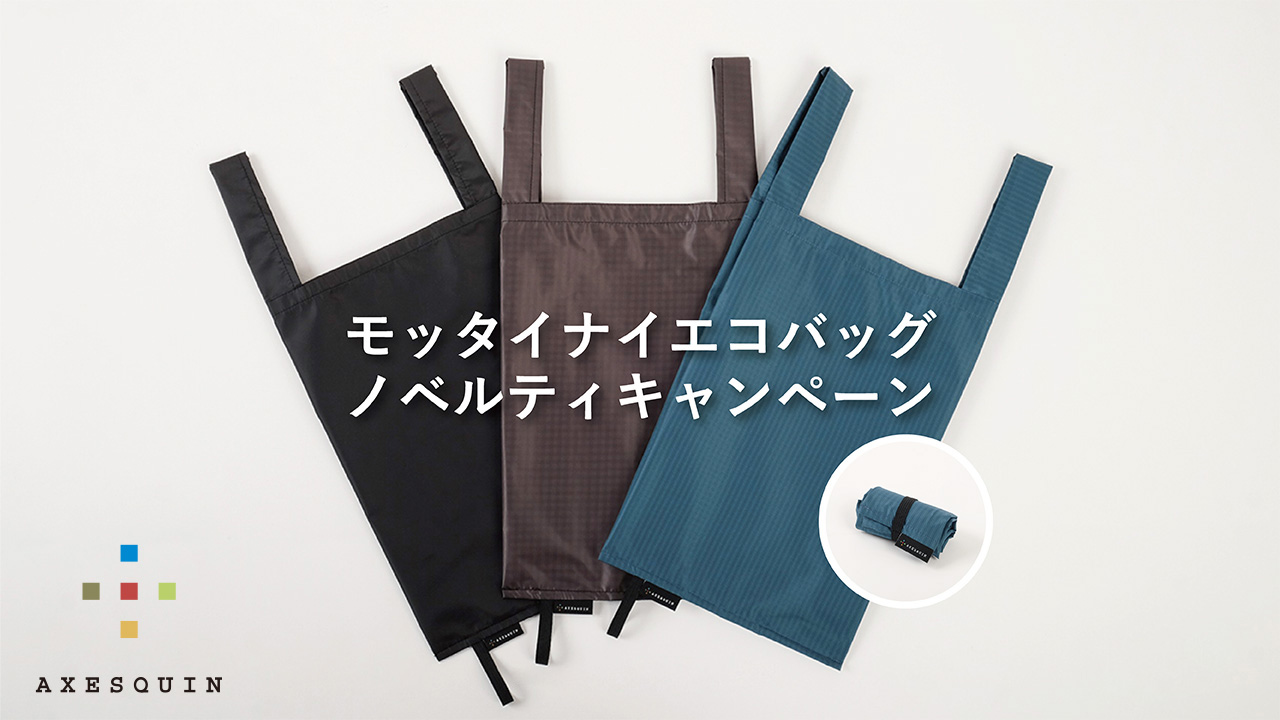 AXESQUIN – アクシーズクイン –